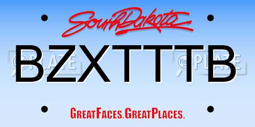BZXTTTB South Dakota License Plate