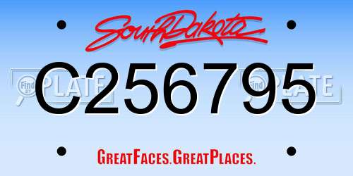C256795 South Dakota License Plate