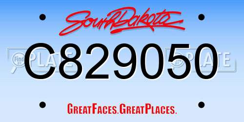 C829050 South Dakota License Plate