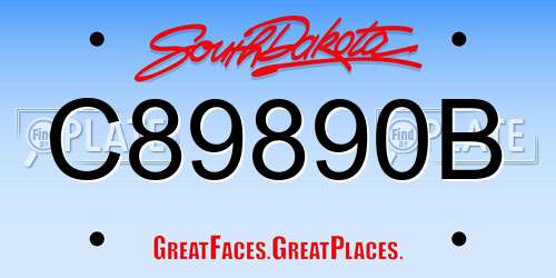 C89890B South Dakota License Plate