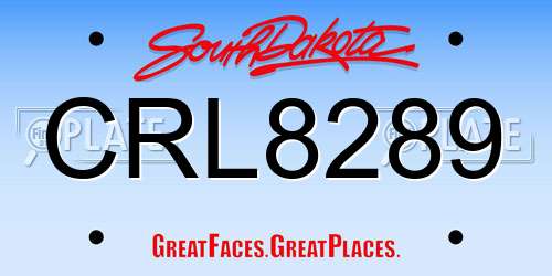 CRL8289 South Dakota License Plate