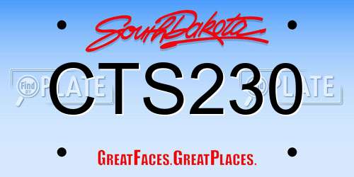 CTS230 South Dakota License Plate
