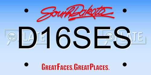 D16SES South Dakota License Plate