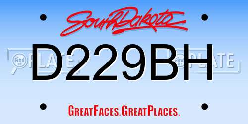 D229BH South Dakota License Plate