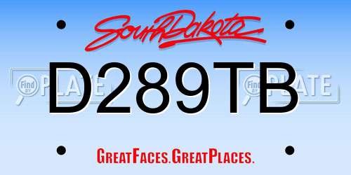 D289TB South Dakota License Plate