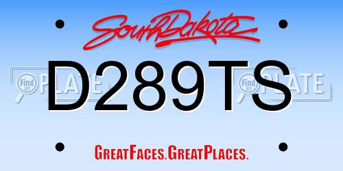D289TS South Dakota License Plate