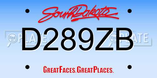 D289ZB South Dakota License Plate
