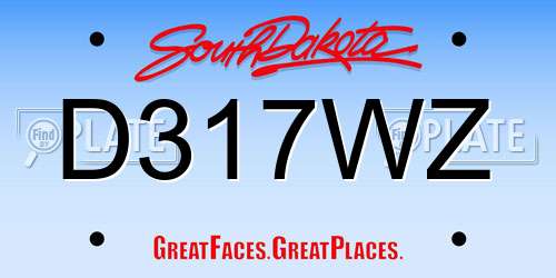 D317WZ South Dakota License Plate