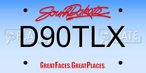 D90TLX South Dakota License Plate