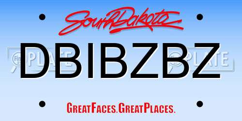 DBIBZBZ South Dakota License Plate