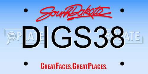 DIGS38 South Dakota License Plate