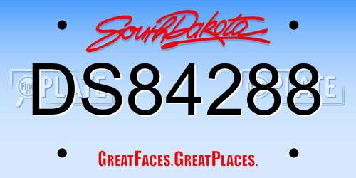 DS84288 South Dakota License Plate
