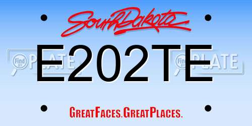 E202TE South Dakota License Plate