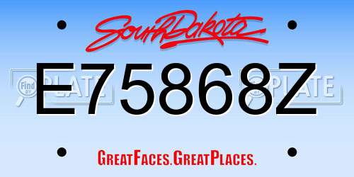 E75868Z South Dakota License Plate