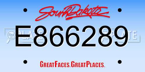 E866289 South Dakota License Plate