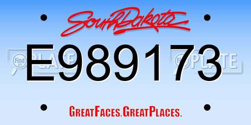 E989173 South Dakota License Plate