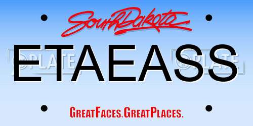 ETAEASS South Dakota License Plate