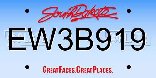 EW3B919 South Dakota License Plate