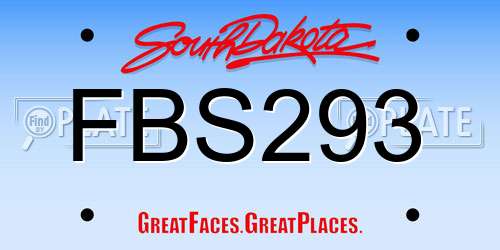 FBS293 South Dakota License Plate