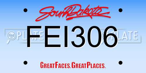 FEI306 South Dakota License Plate