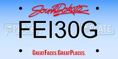 FEI30G South Dakota License Plate