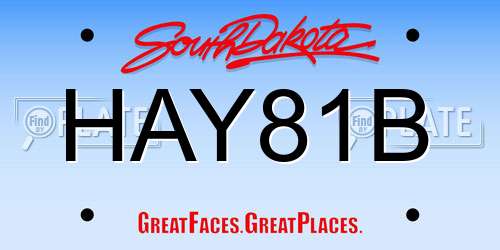 HAY81B South Dakota License Plate