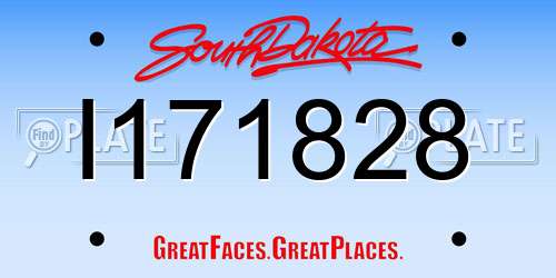 I171828 South Dakota License Plate
