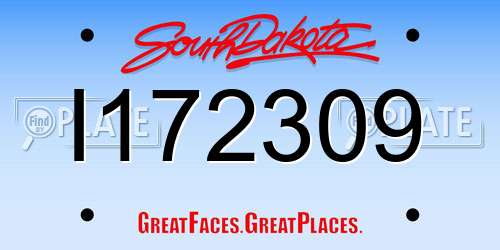 I172309 South Dakota License Plate