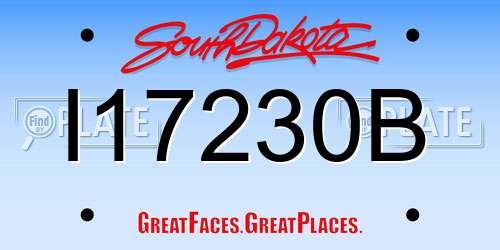 I17230B South Dakota License Plate