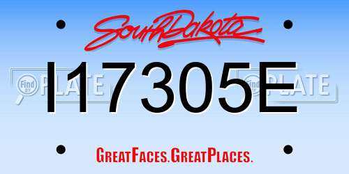 I17305E South Dakota License Plate