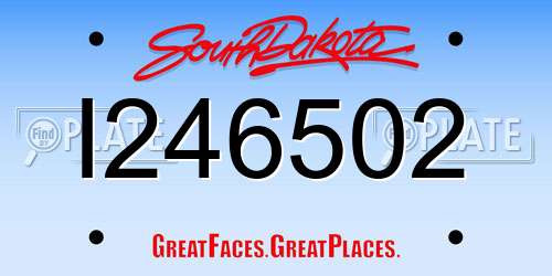 I246502 South Dakota License Plate