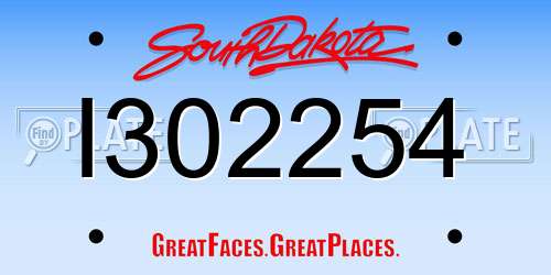I302254 South Dakota License Plate