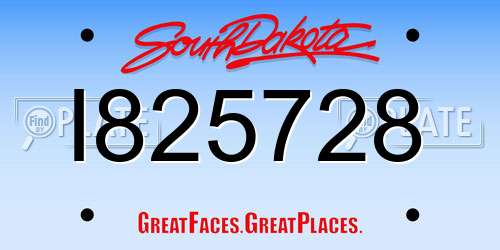 I825728 South Dakota License Plate