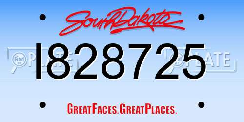 I828725 South Dakota License Plate