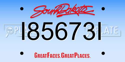 I85673I South Dakota License Plate
