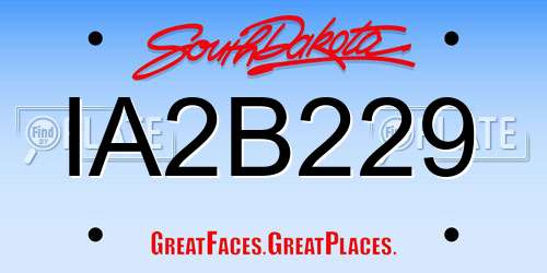 IA2B229 South Dakota License Plate
