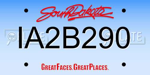 IA2B290 South Dakota License Plate