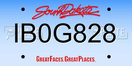 IB0G828 South Dakota License Plate