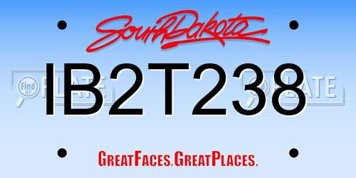 IB2T238 South Dakota License Plate