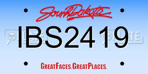 IBS2419 South Dakota License Plate