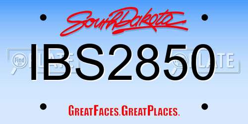IBS2850 South Dakota License Plate
