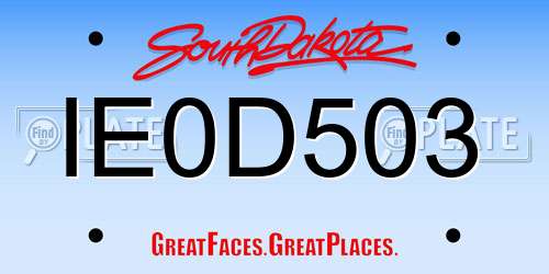 IE0D503 South Dakota License Plate