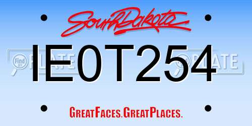 IE0T254 South Dakota License Plate