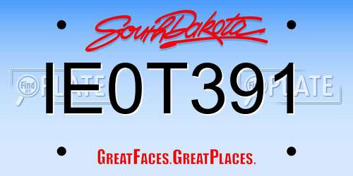 IE0T391 South Dakota License Plate