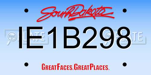 IE1B298 South Dakota License Plate