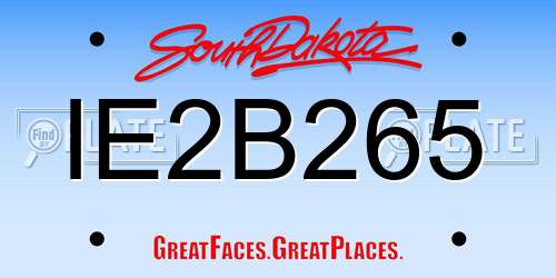 IE2B265 South Dakota License Plate
