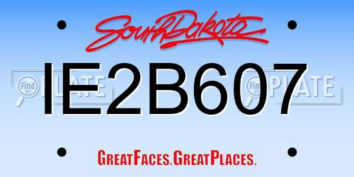 IE2B607 South Dakota License Plate