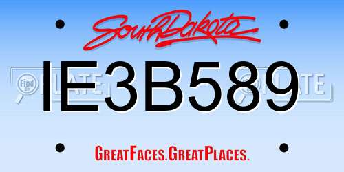 IE3B589 South Dakota License Plate