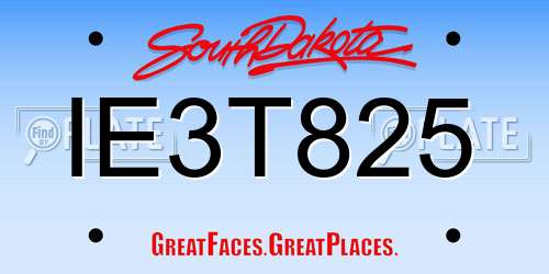 IE3T825 South Dakota License Plate