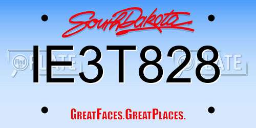 IE3T828 South Dakota License Plate